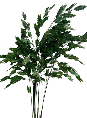 小盼草干花包永生花文艺客厅装饰