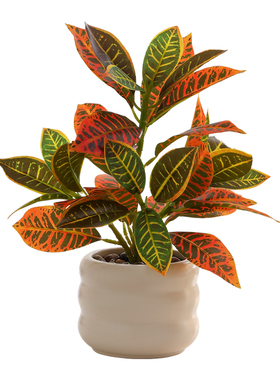 桌面仿真绿植盆栽摆件摄影道具