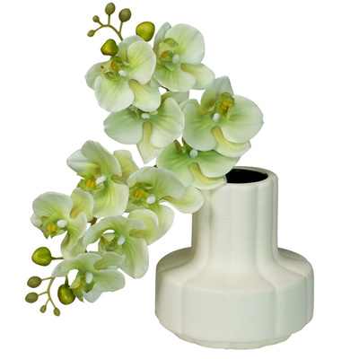 高品质绿色蝴蝶兰仿真花保湿手感