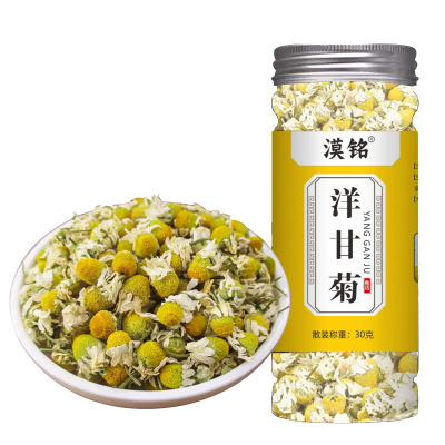 洋甘菊花干精选小菊花花草茶
