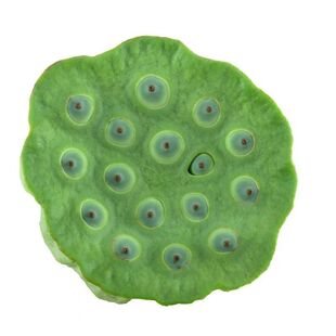 新鲜莲蓬生吃现摘新鲜当季蔬菜4斤孕妇水果甜嫩湿莲子米即食包邮