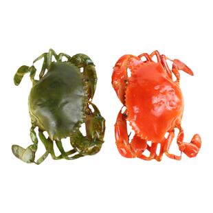 仿真青蟹模型膏蟹假螃蟹大闸蟹兰花蟹红花蟹海鲜水产样品模具