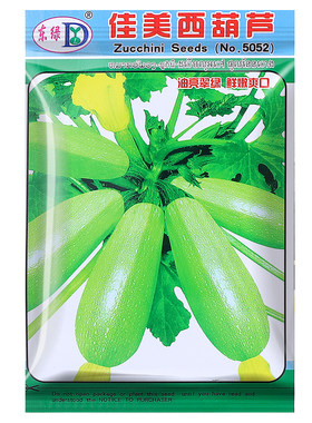买2送1/今年新种子香蕉西葫芦种