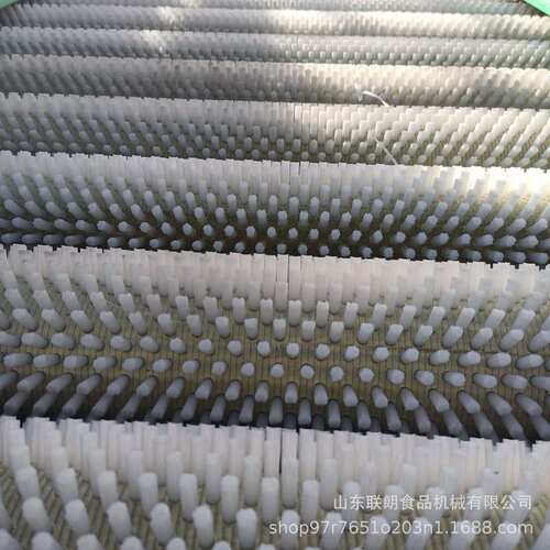 土豆去皮毛辊清洗机萝卜芋头毛刷去泥沙清洗设备气泡喷淋式洗菜机