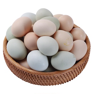 河南农林散养土鸡蛋散养谷物蛋农家农林正宗喂养初生鲜土鸡蛋