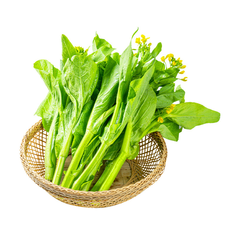 白菜苔种子高产早熟甜脆菜苔多芽多味甜软白菜心籽种大全蔬菜种孑