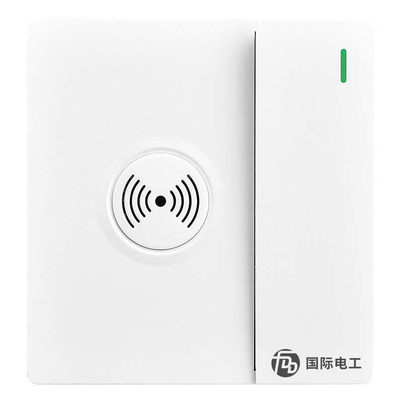 国际电工一开双控声光控开关