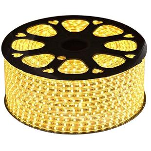 佛山照明led灯带户外防水220v客厅外墙专用工程室外暖光高压灯条