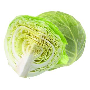 邢蔬邢东中蔬中甘21二十一号甘蓝种子种籽包菜包心菜卷心菜蔬菜孑