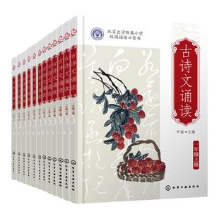 全12册 古诗文诵读1-6年级 6-12岁儿童小升初语文古诗词课外读本 经典古诗词文言文欣赏诵读 北大附小学生人手一册古诗文读本