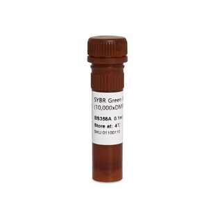 白鲨 Biosharp BS358A 核酸染料SYBR Green I/in DMSO 100ul