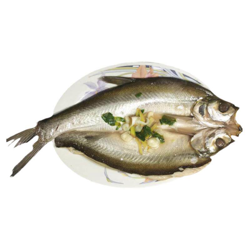 大满通太湖白鱼700g20条