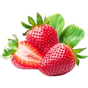 奶油草莓种子水果种籽四季种苗家庭春季秋冬季盆栽草莓种籽孑阳台