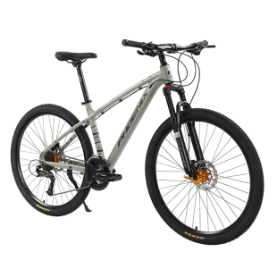 上海凤凰自行车速降越野自行车镁合金成人软尾山地车双肩男女成人