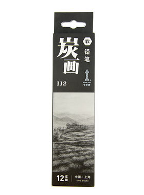 美术生专用素描软性绘画炭笔