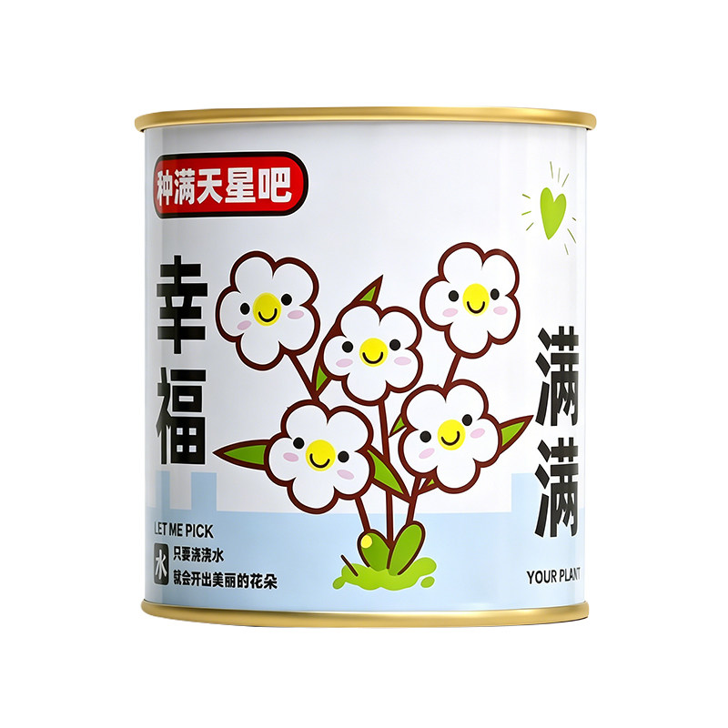 开学小学生礼物盲盒种植小盆栽