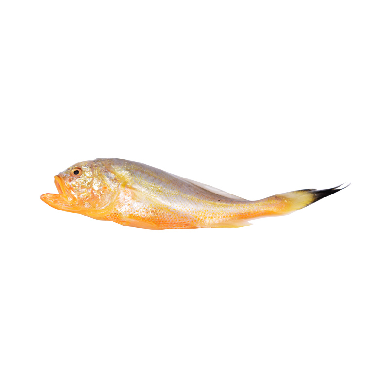 冷凍新鮮 大頭梅童魚 東海舟山小梅子魚細(xì)眼 約2斤裝 32個(gè)左右/斤