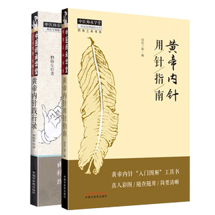 套装2册】黄帝内针践行录+黄帝内针用针指南 黄帝内针中医针灸临床入门自学参考解读黄帝内针医药科学卫生中医医学书籍