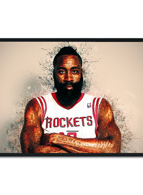 哈登詹姆斯火箭队NBA电竞房挂画