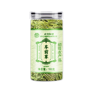 同仁堂信盛堂车前草野生中药尿降酸泡水喝干货官方旗舰店正宗正品