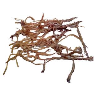 北海特产鱿鱼须纯须鱿鱼干净须鱿鱼头干海味海产干货250g包邮