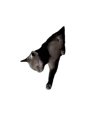 北欧设计师猫鼠动物台壁灯