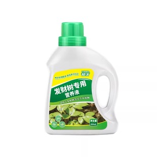 发财树营养液肥料专用肥治叶子发黄掉叶室内盆栽植物花肥通用水培