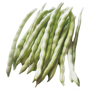 老来少白不老九粒白芸豆种子豆角架豆籽豆种蔬菜四季耐寒耐热包邮