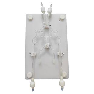 ENOVO颐诺 颅内动脉瘤栓塞训练模型 脑部血管介入栓塞手术治疗 神经介入微创手术医生操作练习训练培训教具