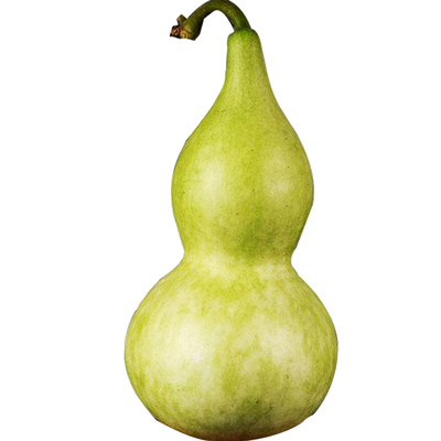 文玩葫芦种子中亚手捻观赏葫芦籽