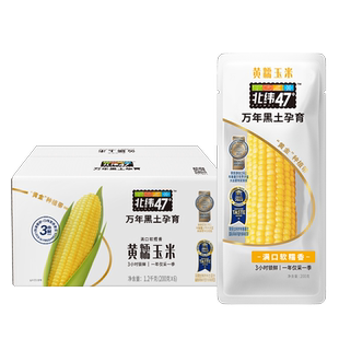 【4穗轻量装】北纬47度黄糯玉米白糯玉米真空装软糯香甜粗粮代餐