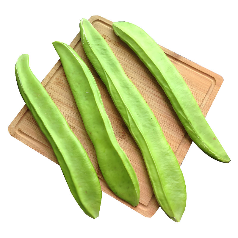 红刀豆种子大刀豆种籽