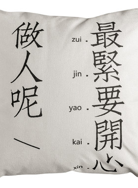 沙发靠垫枕套客厅宿舍