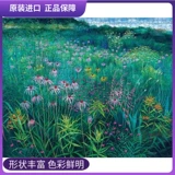 R pomegranate ленточный червей υ 杩涘 杩涘 彛 杩涘 彛 浘 1000 鐗 鐗 鐗 鐗 夊 夊 夊 夊 夊 夊 夊 夊 夊 夊 夊 夊