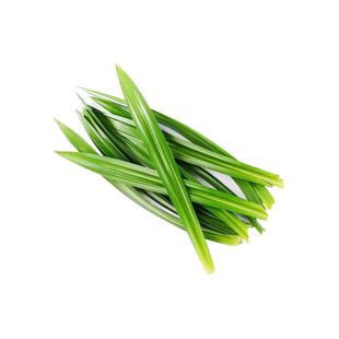 【槿馐】新鲜香兰叶500g斑斓叶甲抛叶千层蛋糕糯米饭食用泰国香料