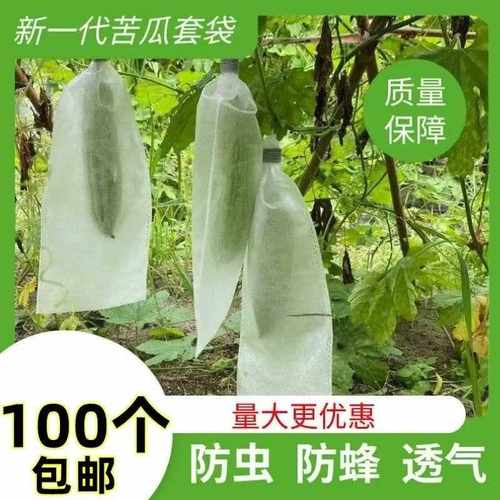 苦瓜套袋丝瓜防虫袋羊角蜜防针蜂果蝇无纺布保护瓜果青瓜专用袋子