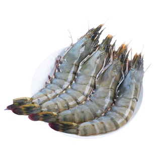 国联巨型黑虎虾大虾鲜活速冻超大老虎虾冻虾冷冻活冻特大海虾盐冻