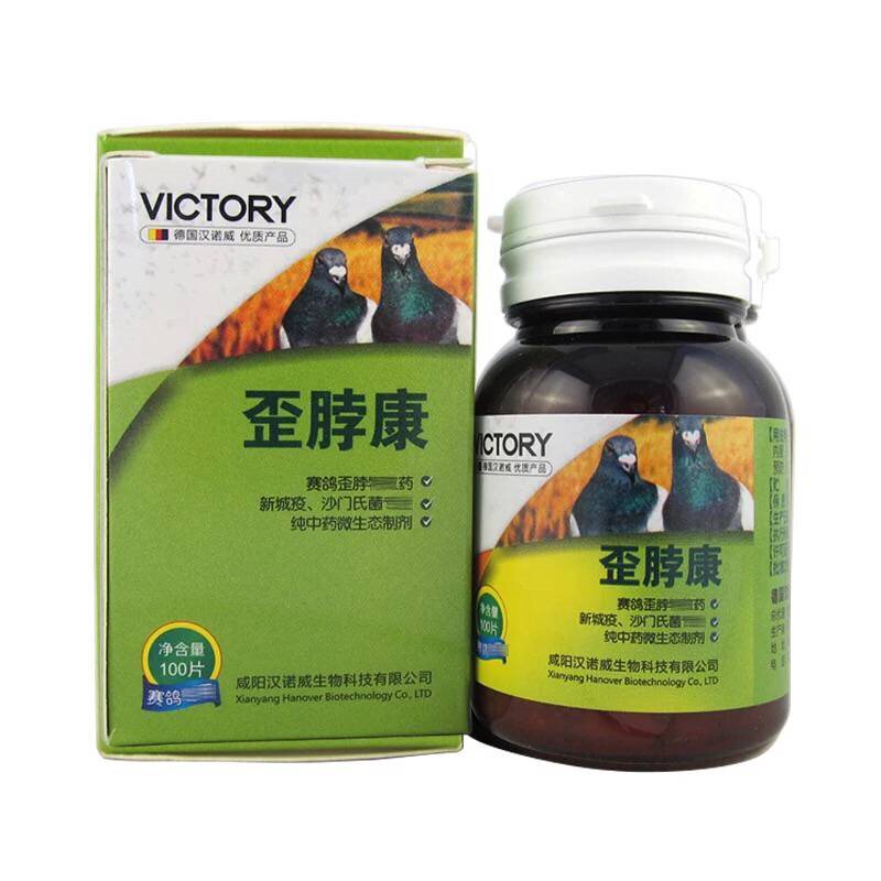 汉诺威歪脖康调理鸽子歪脖扭头