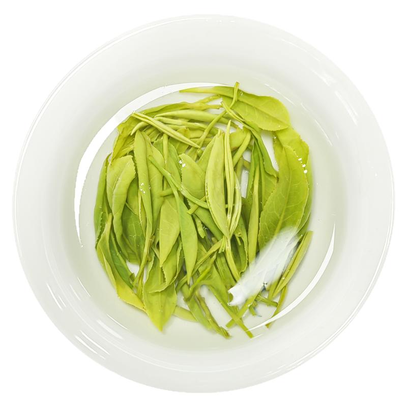 2026新茶毛尖绿茶茶叶 宜宾早茶浓香耐泡回甘屏山茗茶自己喝100g
