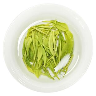 2025新茶毛尖绿茶茶叶 宜宾早茶浓香耐泡回甘屏山茗茶自己喝100g