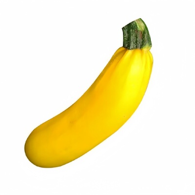 四季南方香蕉西葫芦种子