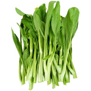 连州菜心种子种籽增城迟菜心广东菜心菜薹四季播春秋南方蔬菜种孑