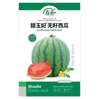 红妃无籽巨型南方四季西瓜种子