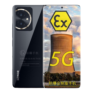 HONOR/荣耀100 6.7英寸绿洲护眼屏 5G定制防爆手机 化工厂医药工业EX专用石油库天然气 防爆定制版(带证书)