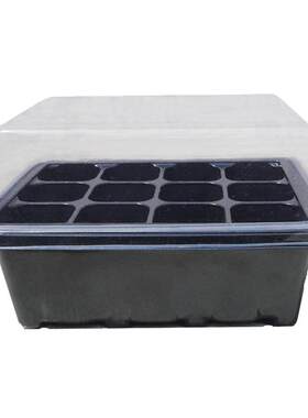 育苗套餐花种通用新手提高发芽率