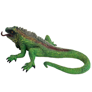 静态仿真玩具模型加拉帕戈斯巨蜥蜴爬行动物实心塑胶摆件儿童礼物