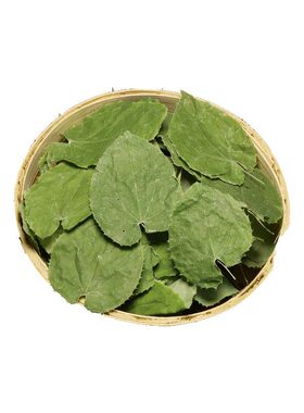 野淫羊藿叶中药材正品肉苁蓉锁阳泡酒甘肃小叶淫羊藿仙灵脾泡茶