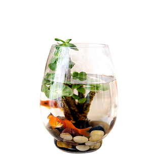 玻璃恐龙蛋金鱼缸迷你鱼缸水培养鱼两用鱼缸带底座办公桌水培绿萝