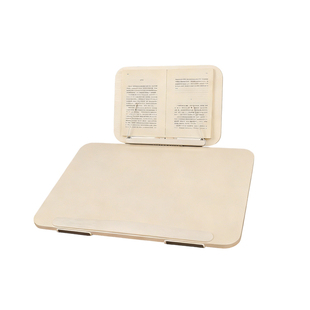 双层坐姿矫正器桌面倾斜写字板增高架学习桌儿童学生可升降写字台