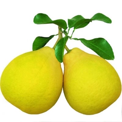 江永香柚30斤大果香甜多汁柚子